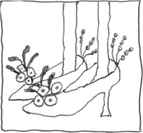 Shoes pic 10:29:14-5