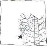 Faux birch 12-16-14-   2